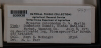Image Associated With the Occurence